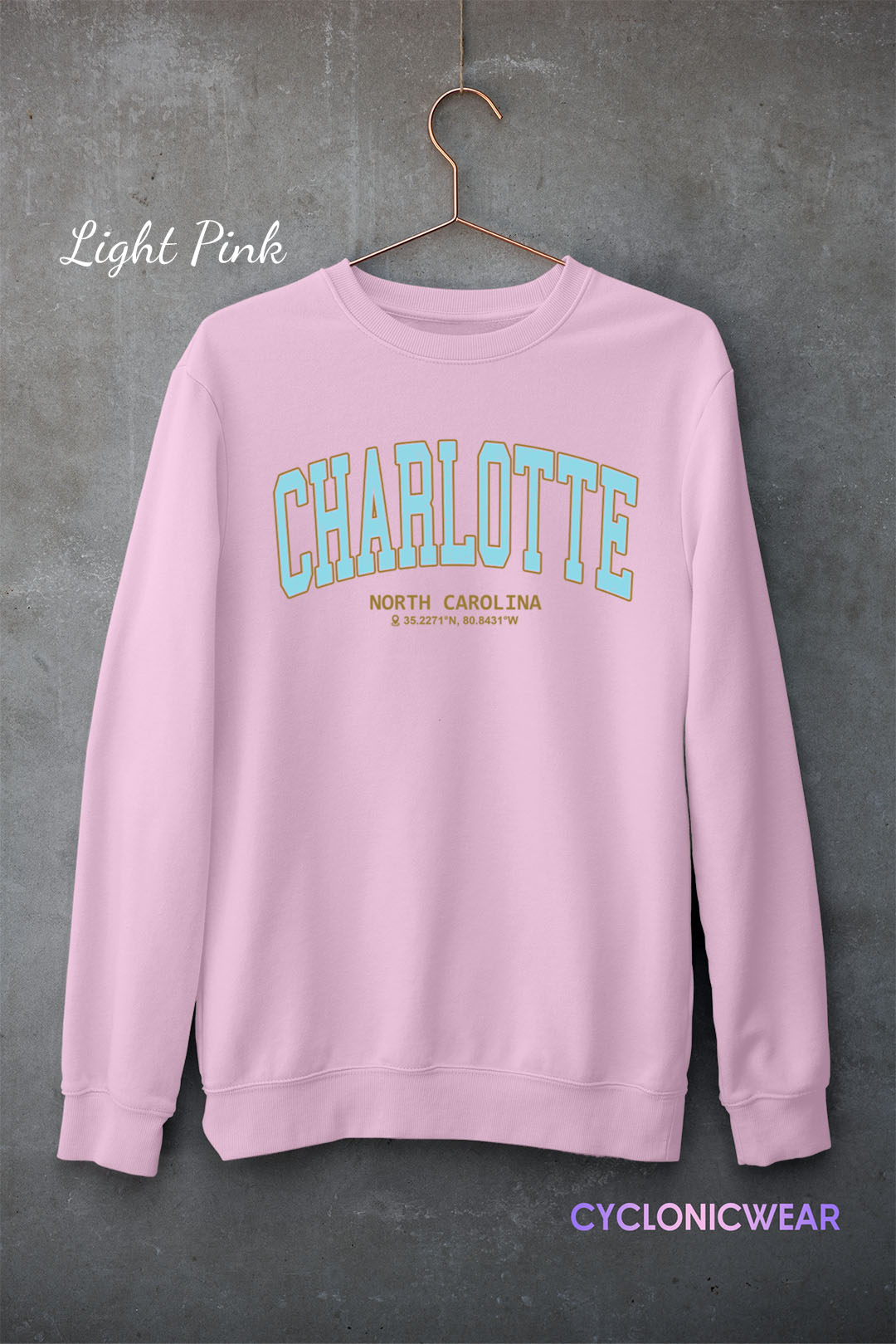 Vintage Charlotte North Carolina Sweatshirt