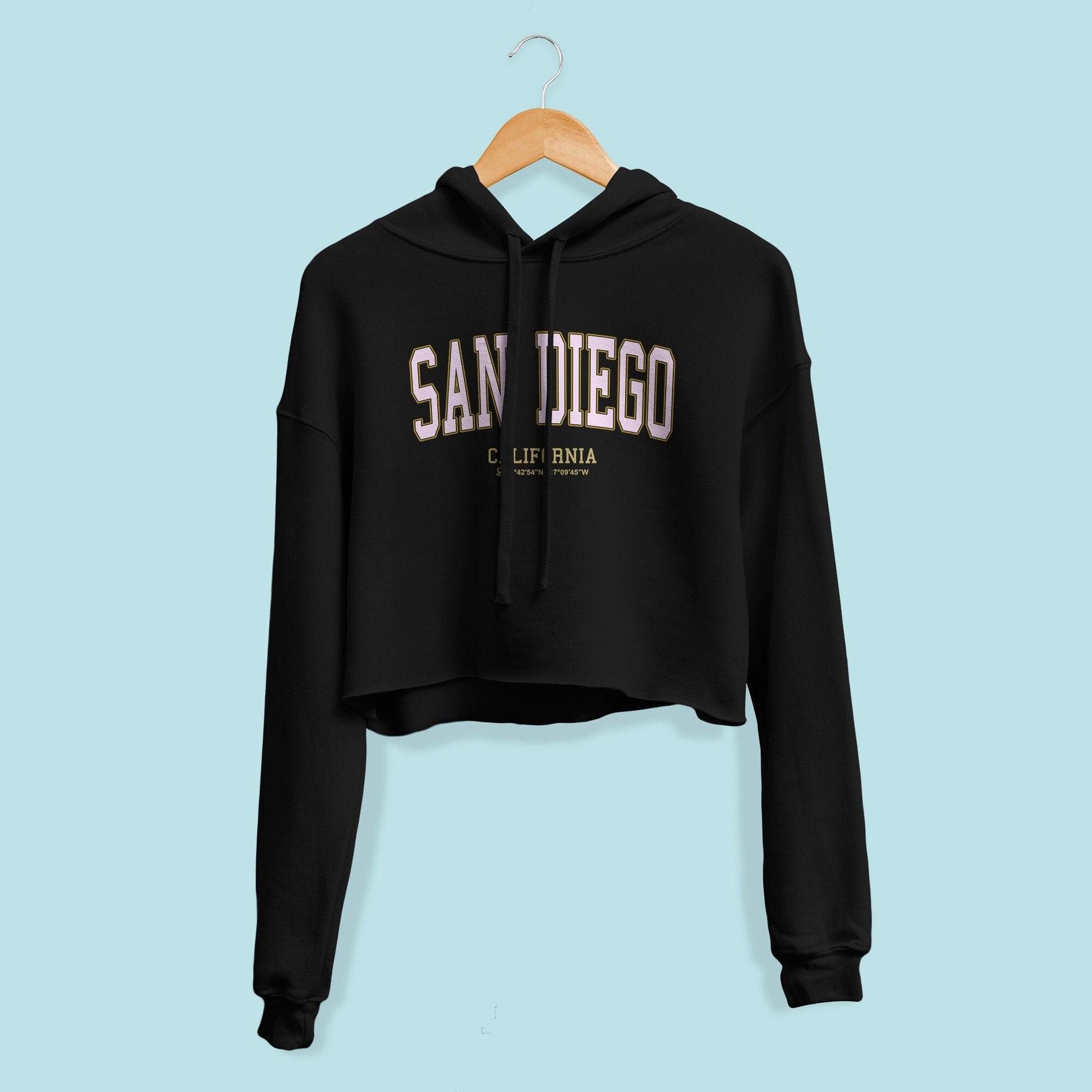 Vintage San Diego Crop Hoodie, California College Sweatshirt, Travel Gift, University Student Sweater, Gift For Her, San Diego Hoodie