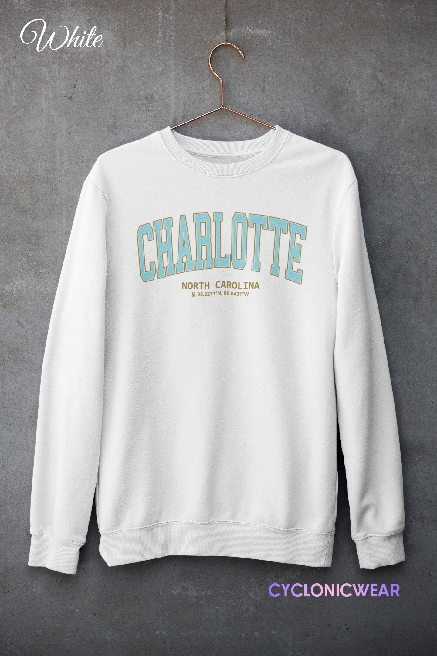Vintage Charlotte North Carolina Sweatshirt, University Student Gift, Charlotte Vacation Sweater, Vintage Style Sweatshirt, Charlotte Gift