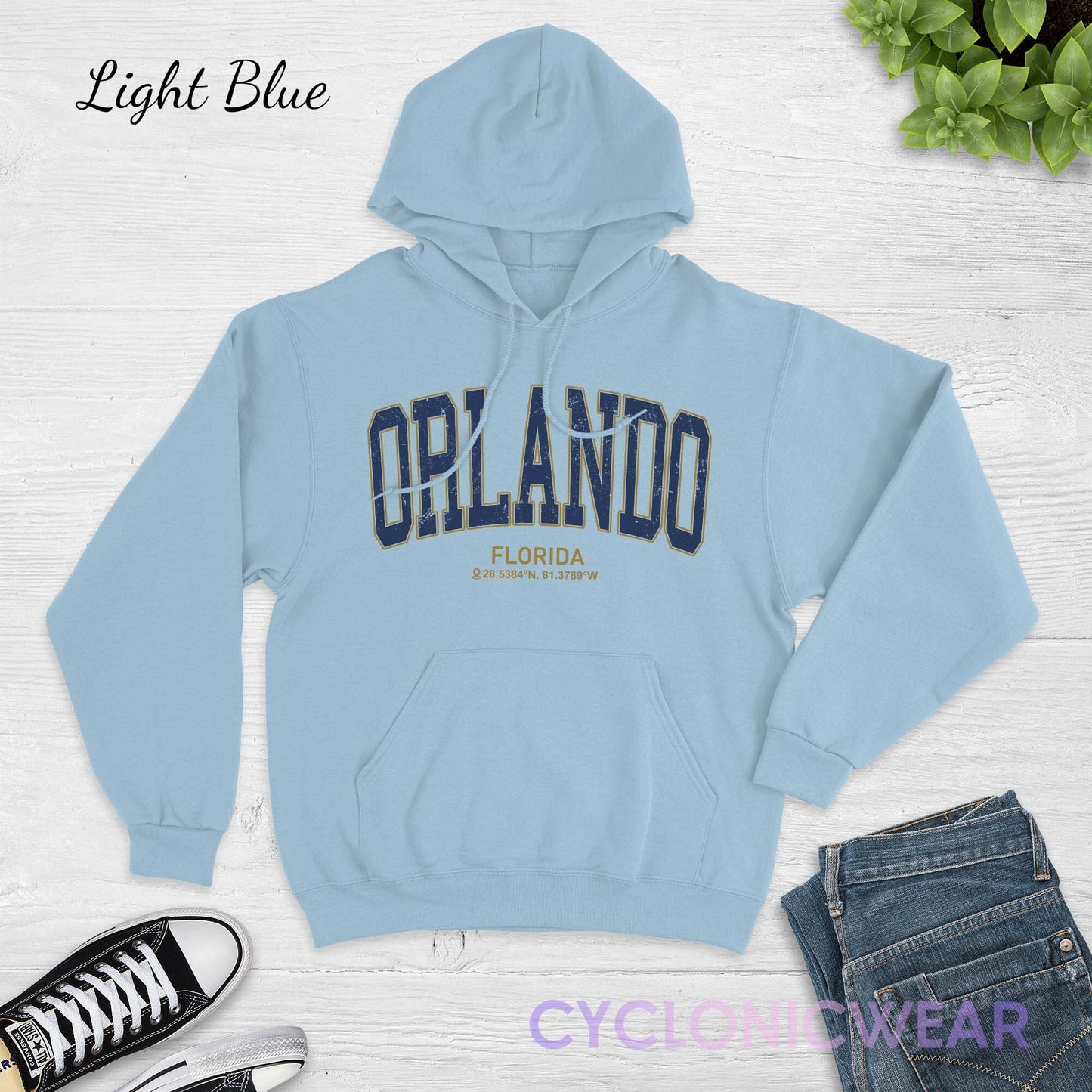 Vintage Orlando Florida Hoodie, Orlando Vacation Family Travel Gift,  Orlando University Student Sweatshirt, Orlando Sports Fan Gift