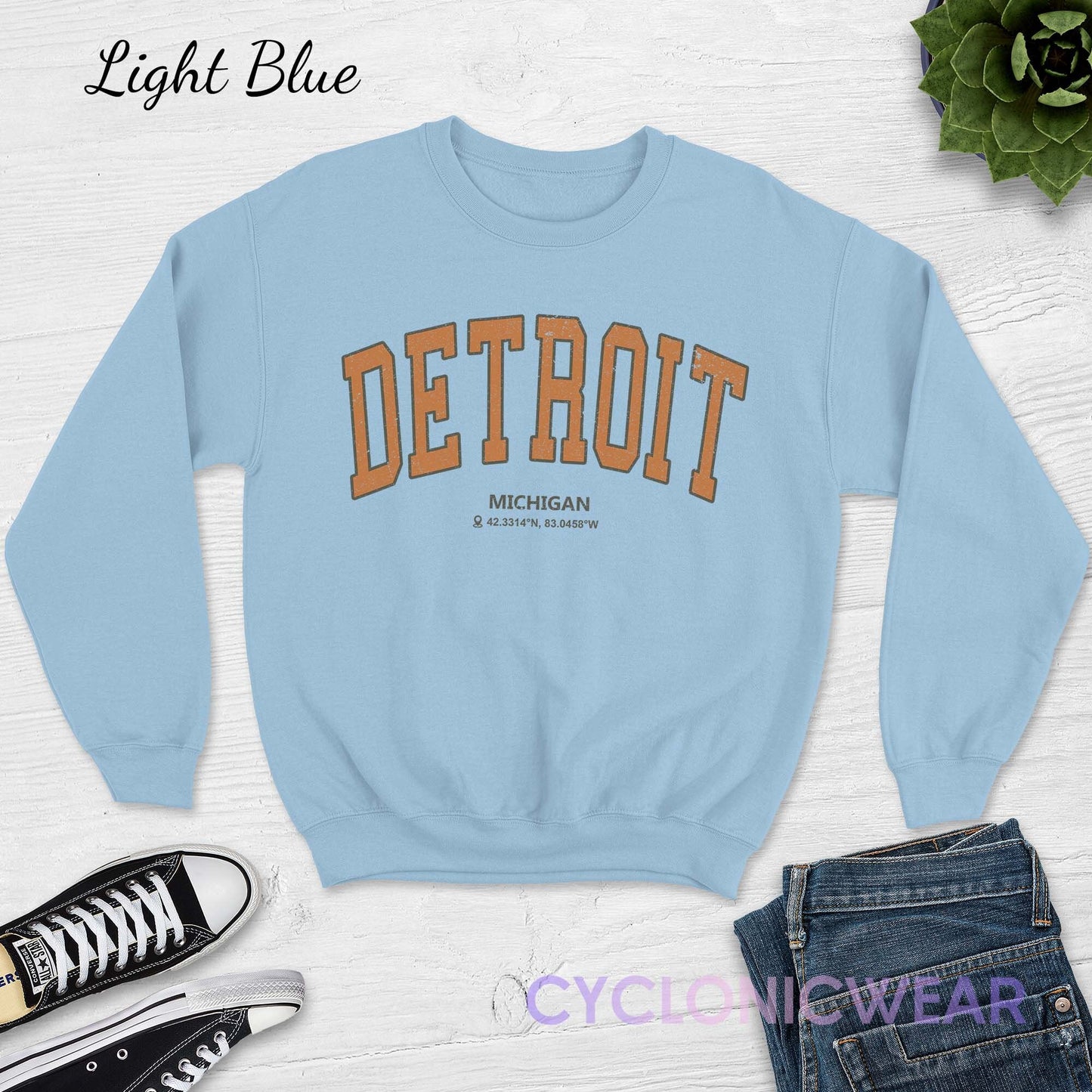 Detroit Michigan Sweatshirt, Detroit College Sweatshirt, Retro Detroit Sweatshirt, Detroit Student Gift, Detroit Sports Sweater