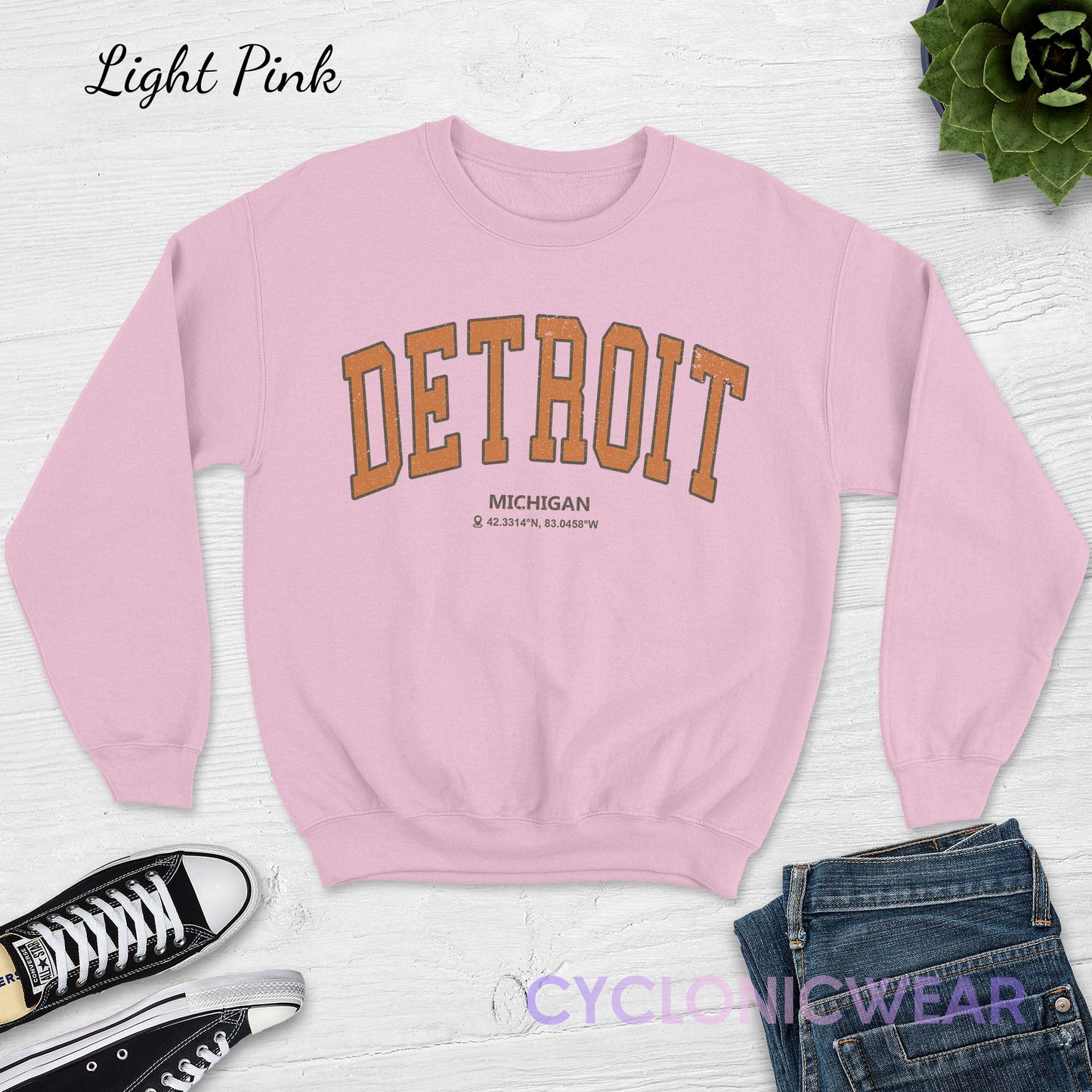 Detroit Michigan Sweatshirt, Detroit College Sweatshirt, Retro Detroit Sweatshirt, Detroit Student Gift, Detroit Sports Sweater