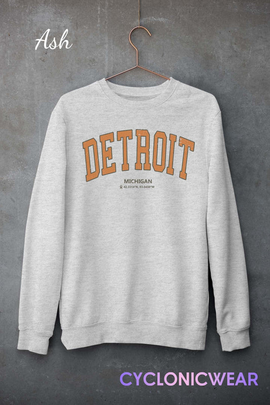 Detroit Michigan Sweatshirt, Detroit College Sweatshirt, Retro Detroit Sweatshirt, Detroit Student Gift, Detroit Sports Sweater