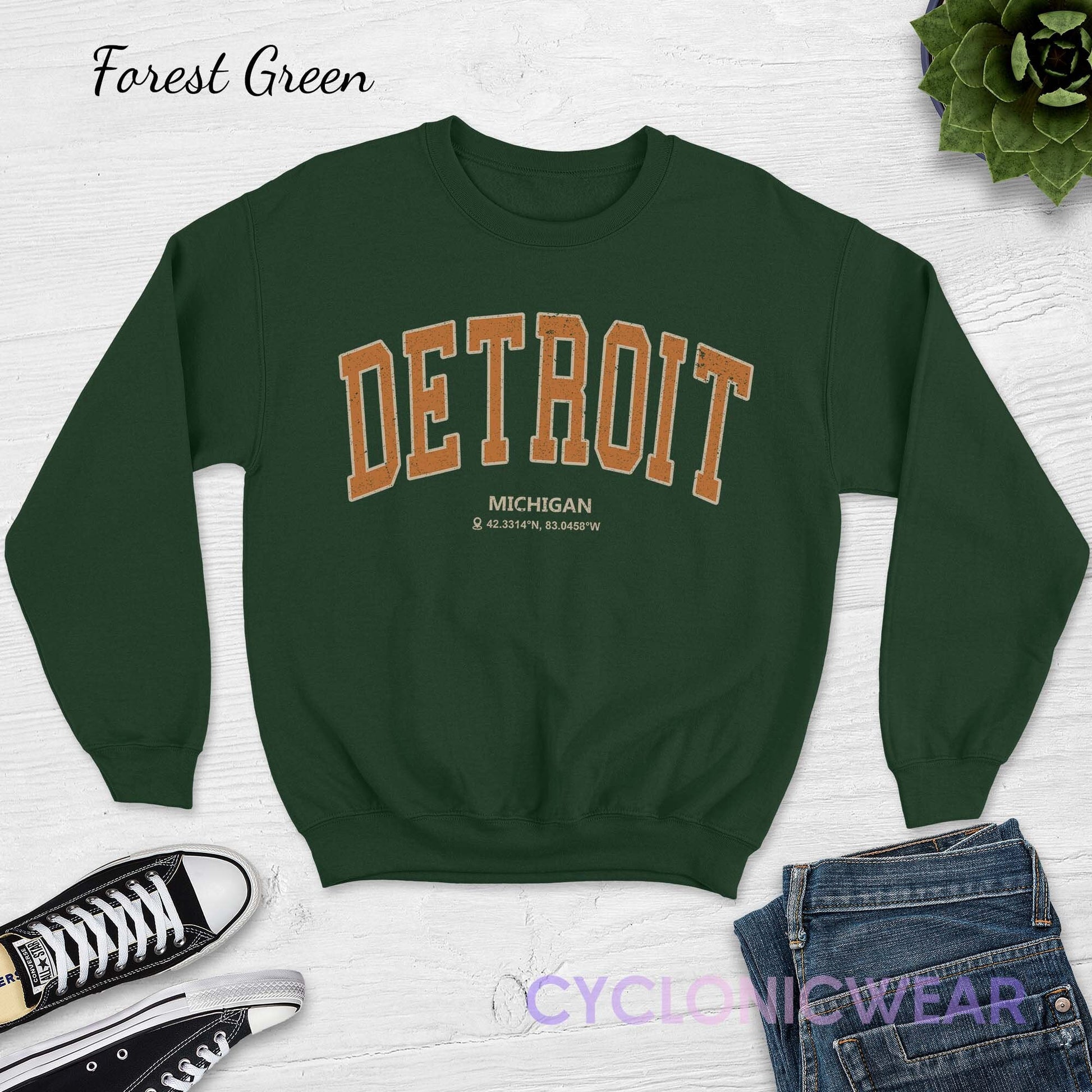 Detroit Michigan Sweatshirt, Detroit College Sweatshirt, Retro Detroit Sweatshirt, Detroit Student Gift, Detroit Sports Sweater