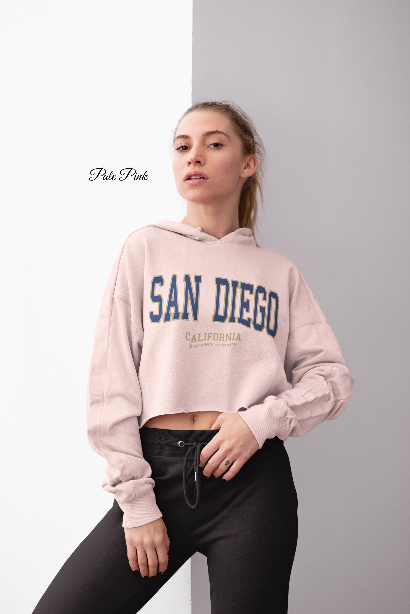 Vintage San Diego Crop Hoodie, California College Sweatshirt, Travel Gift, University Student Sweater, Gift For Her, San Diego Hoodie