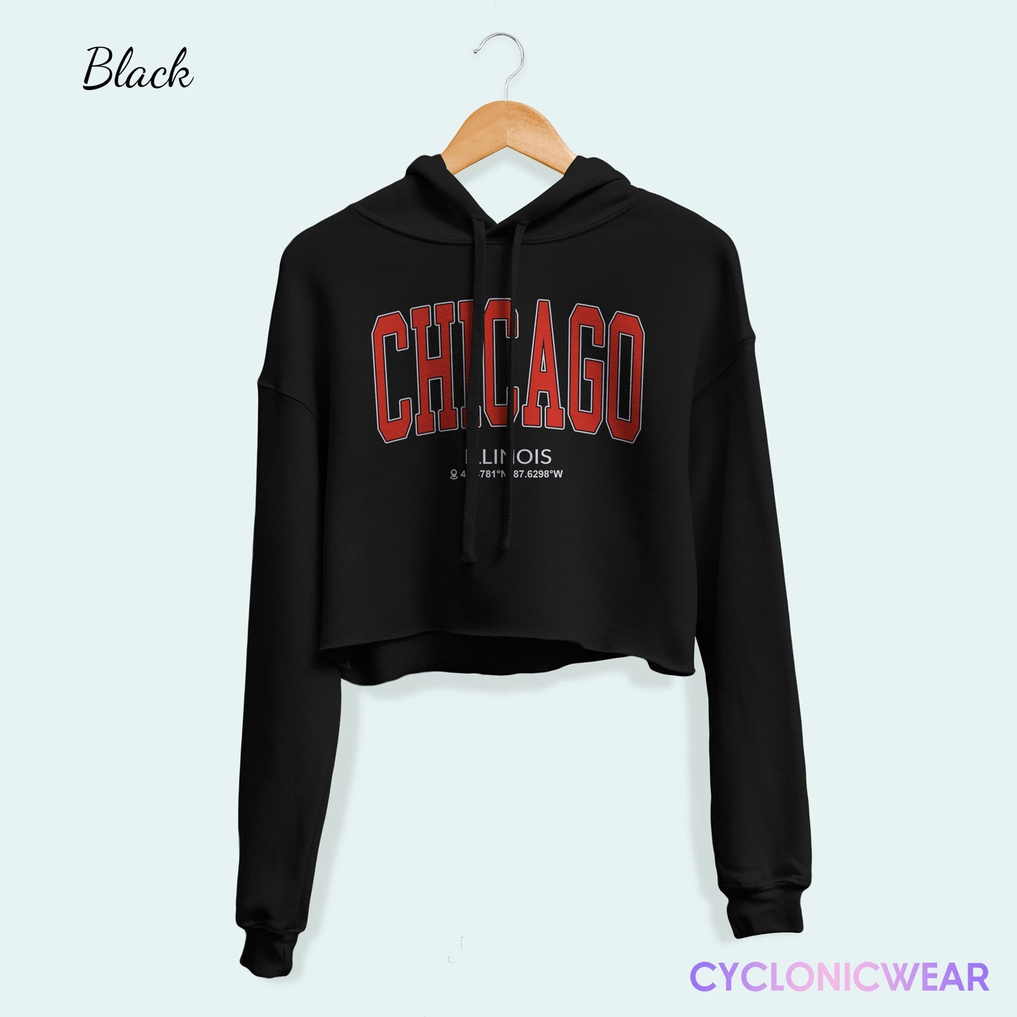 Vintage Chicago Illinois Crop Hoodie, Chicago College Sweatshirt, Chicago Vacation Gift, University Student Sweater, Chicago Hoodie