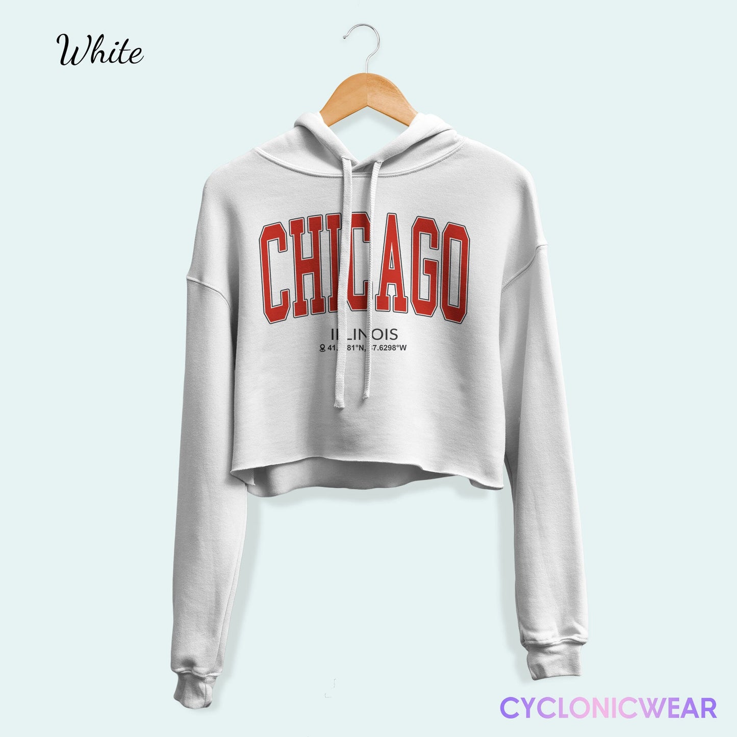 Vintage Chicago Illinois Crop Hoodie, Chicago College Sweatshirt, Chicago Vacation Gift, University Student Sweater, Chicago Hoodie