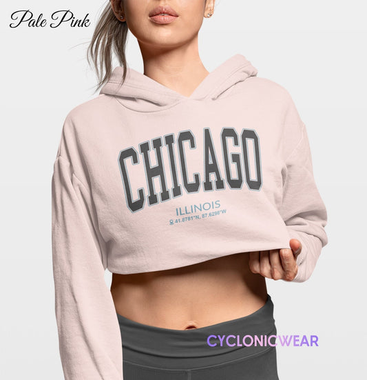 Vintage Chicago Illinois Crop Hoodie, Chicago College Sweatshirt, Chicago Vacation Gift, University Student Sweater, Chicago Hoodie