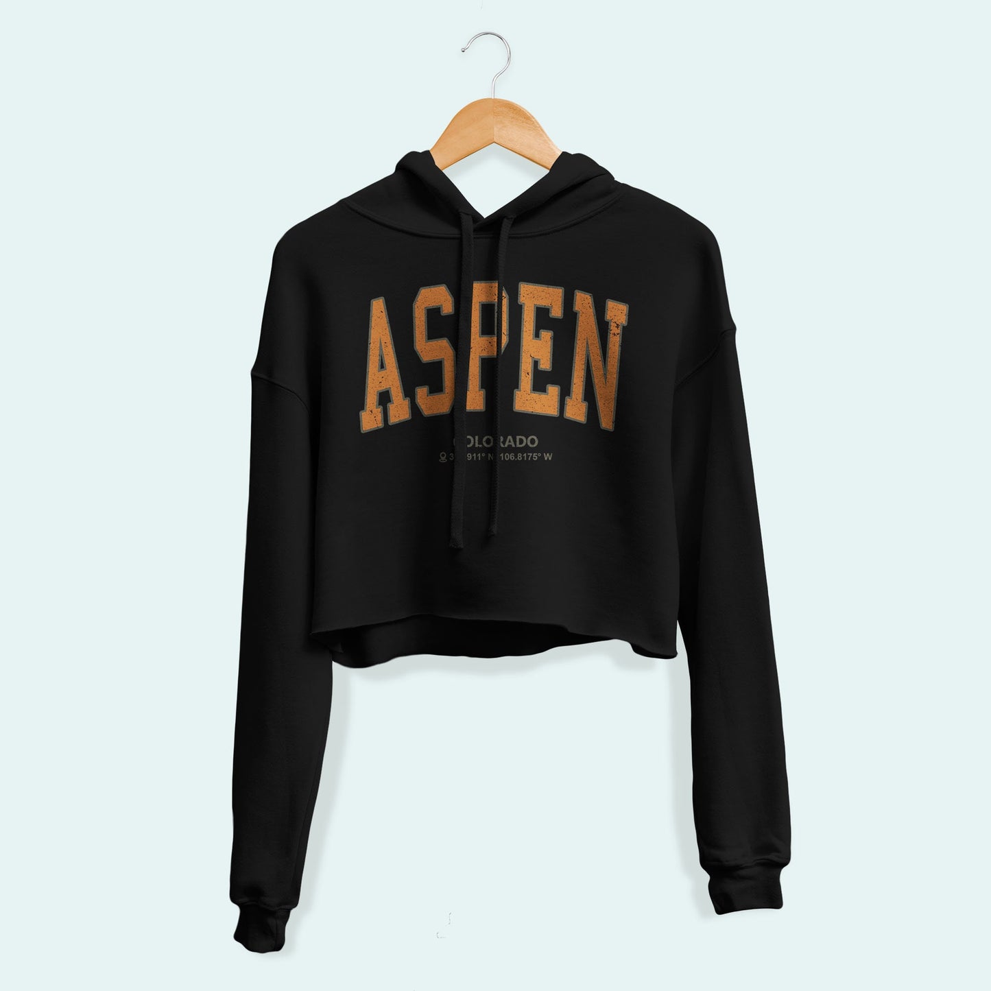 Aspen Colorado Crop Hoodie, Colorado College Sweatshirt, Aspen Vacation Gift, Colorado Student Sweater