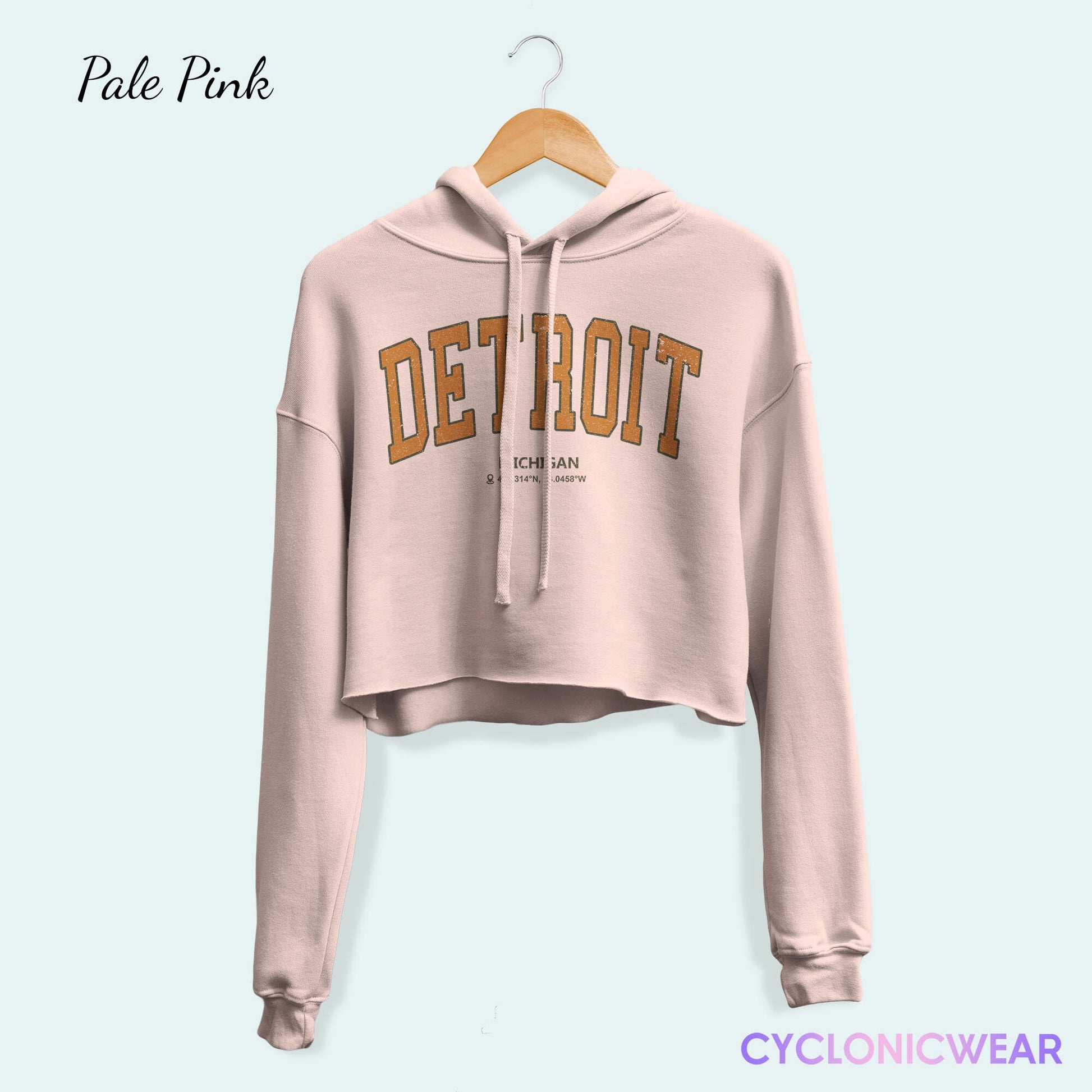 Detroit Michigan College Crop Hoodie, Michigan Crop Sweatshirt, Detroit Vacation Gift, Michigan Fan Gift