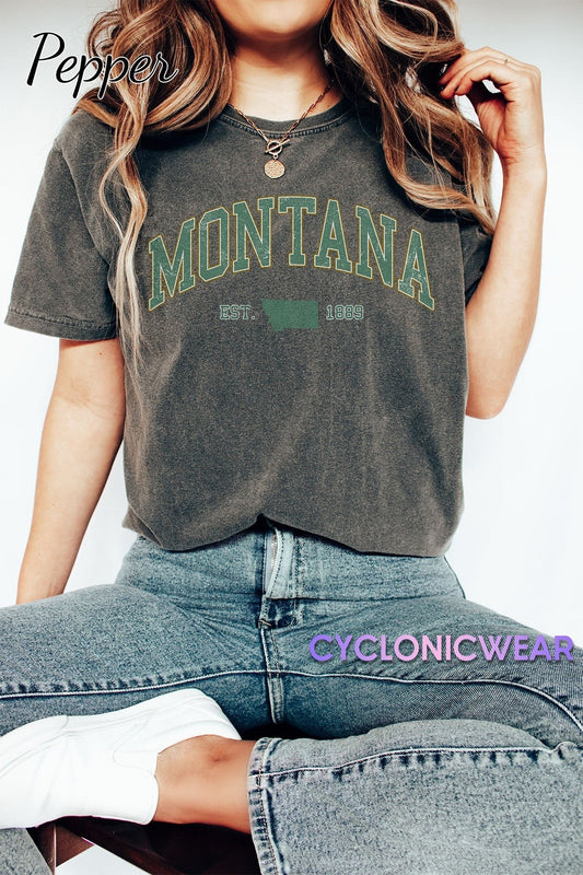 Montana Comfort Colors Shirt, Vintage Style Shirt, Montana Fan Shirt, USA Travel Gift, Montana Unisex T Shirt, Montana Student Gift