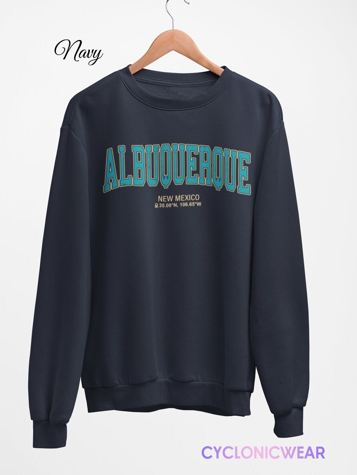 Vintage Albuquerque New Mexico Sweatshirt, New Mexico Travel Gift, University Graduation Gift, USA Vacation Student Gift Her Him Teacher