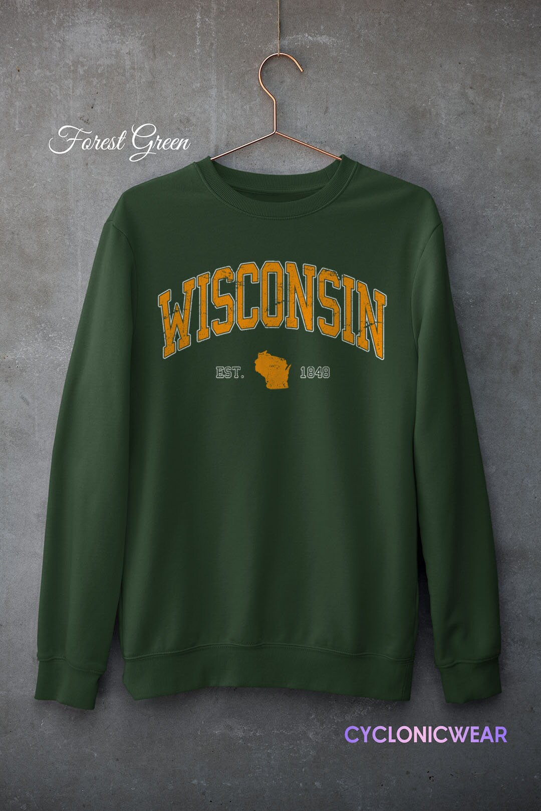 Vintage Wisconsin Sweatshirt, Wisconsin Unisex Sweater, Wisconsin Sports Sweatshirt, Wisconsin  Travel Gift, University Student Gift