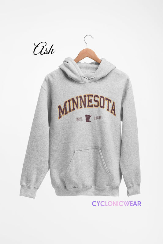 Vintage Minnesota Hoodie, Minnesota Unisex Sweater, Minnesota Sports Sweatshirt, Minnesota Travel Gift, University Student Gift, USA Gift