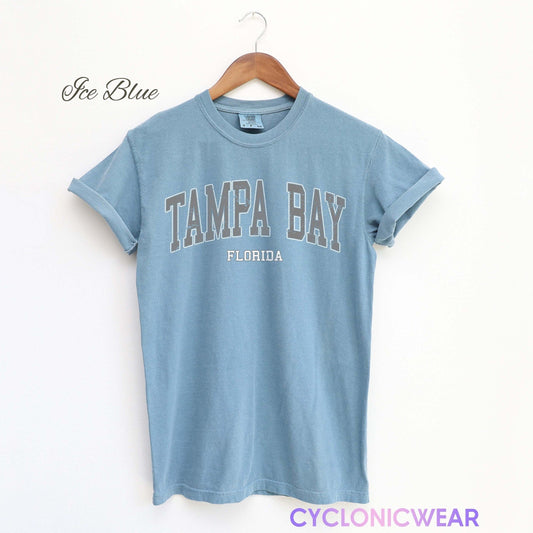 Vintage Tampa Bay Comfort Colors Shirt, Tampa Bay T-Shirt, Sports Fan Shirt, Comfort Colors Tee, University Student Gift, Tampa Bay Sports