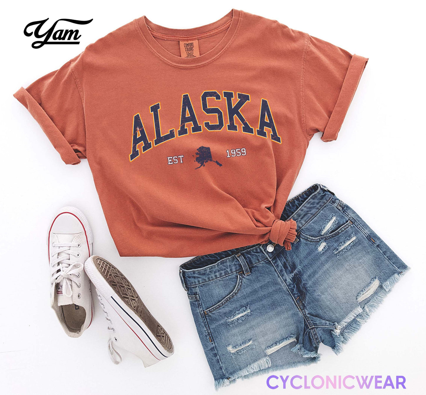 Vintage Alaska Comfort Colors Unisex Shirt, USA Travel Gift, Comfort Colors Summer Trendy Tee, University Student Graduation Gift